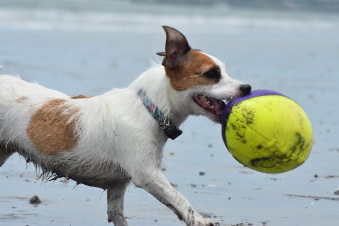 cand este targul de turism 2026