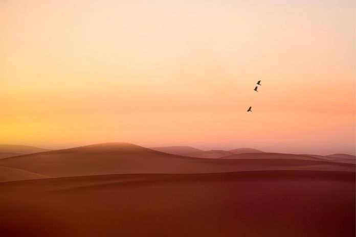 ce inseamna apartament tip studio